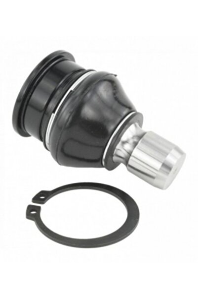 FEBEST Pivot brat inferior fata 1020-J300