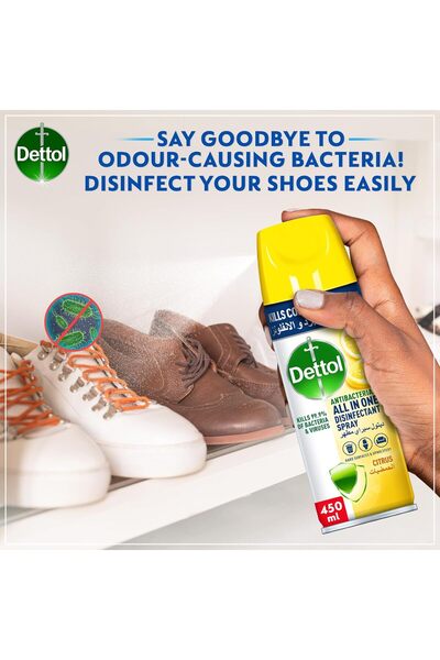Dettol All-in-One Antibacterial Spray with Citrus Scent, 450ml
