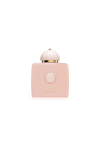Amouage Guidance Unisex Eau de Parfum (100 ml)