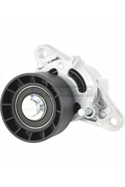 FEBEST Intinzator curea accesorii 2490-K7J