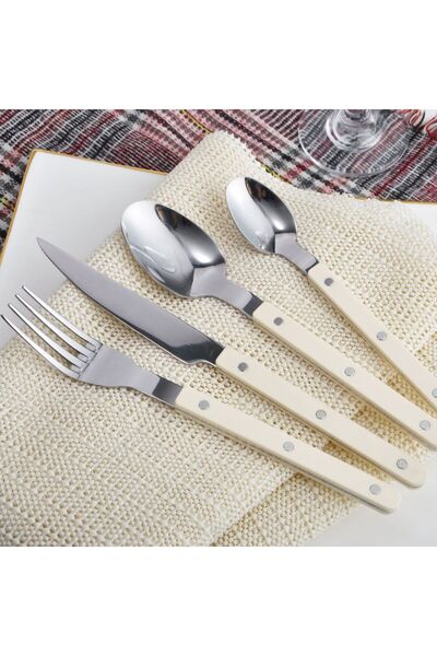 Danube Home طقم أدوات مائدة زهرة من الفولاذ المقاوم للصدأ، ٢٤ قطعة - طقم أدوات مائدة فاخر للطعام والحفلات والمطاعم