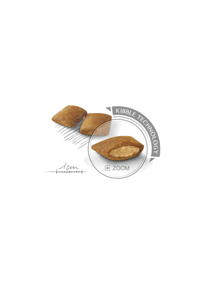 Royal Canin Mini Exigent 3 Kg + Exigent Loaf x 2 Adet