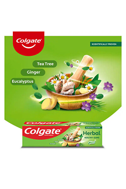 Colgate TOOTHPASTE HERBAL 125ML (Pack of 48)