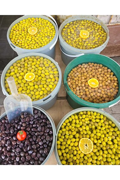 TURE GURME Yeni Sezon Kırma Yeşil Zeytin 5kg Hatay Mahsulü