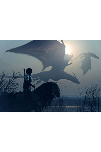 VIODESIGN Fototapet Copii, autoadeziv, Cavaler si Dragoni , multicolor, 80x12...