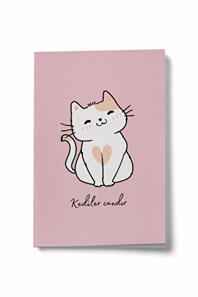 Bi Dünya Haber Cats Are Mini Notebooks