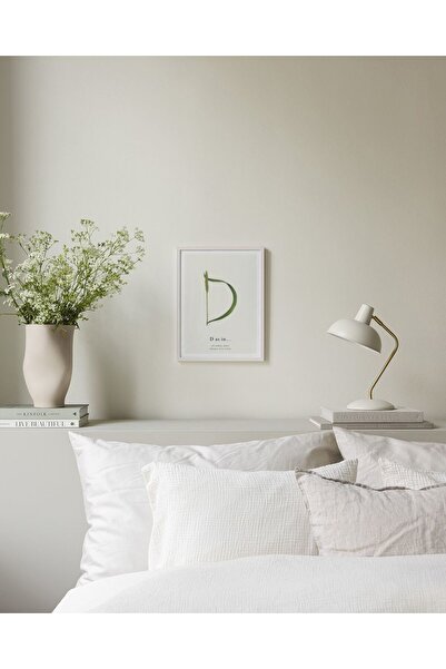 Thetic Literele botanice D - Poster de perete PREMIUM fără ramă cu estetică modernă