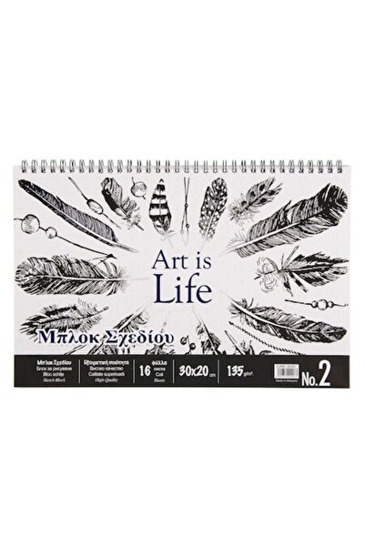 SHOPIENS Bloc Desen Nr. 2 cu Spirala, Coperta Model Pene, 16 File, Hartie 135...