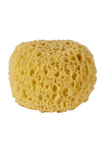 TOPI TOY Burete de baie, , pentru curatare, masaj anticelulita, regenerare