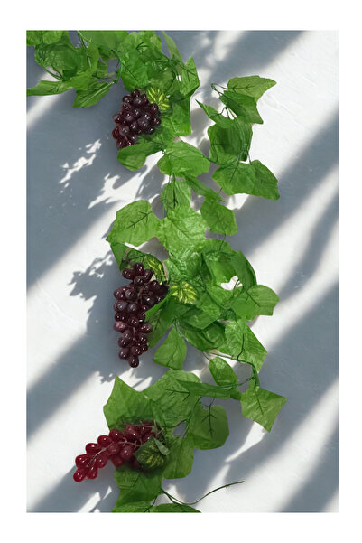 Home Yapay Asma Sarmaşık Yapraklı Üzüm