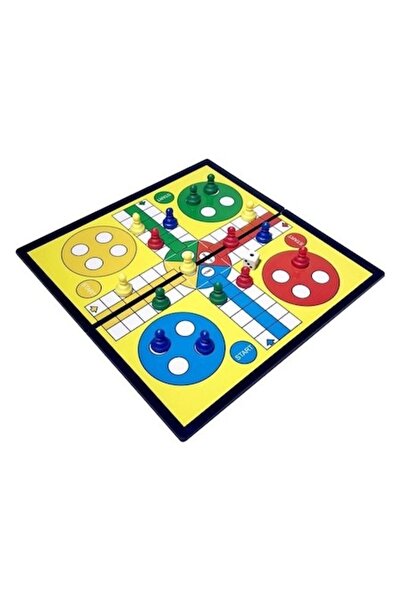 SHOPIENS Portable Magnetic Board Game 'Nu Te Supara Frate'