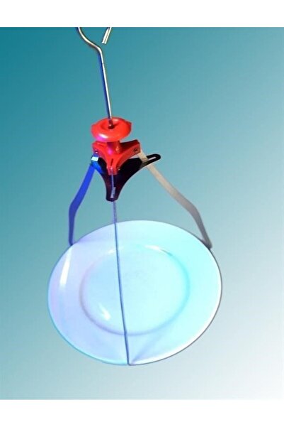 OLLEVRA Decorative metal plate service presentation apparatus aesthetic carrier