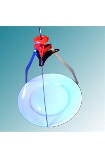 OLLEVRA Decorative metal plate service presentation apparatus aesthetic carrier