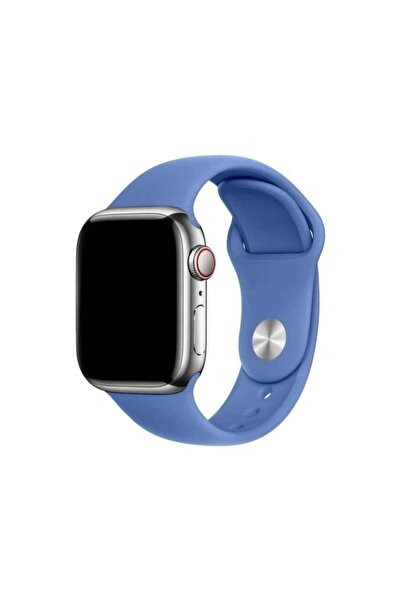 Apple Curea Ceas Watch Silicon Cornflower 38/40/41mm
