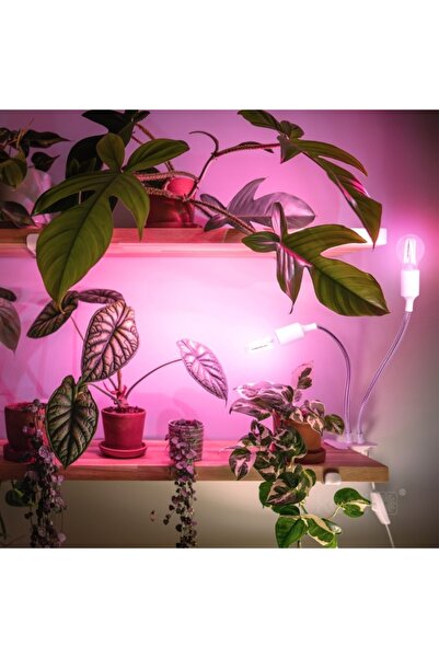 Kobi Plant lamp PLANTY, 2xE27, white, Design