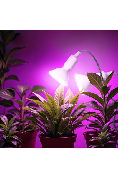 Kobi Plant lamp PLANTY, 2xE27, white, Design