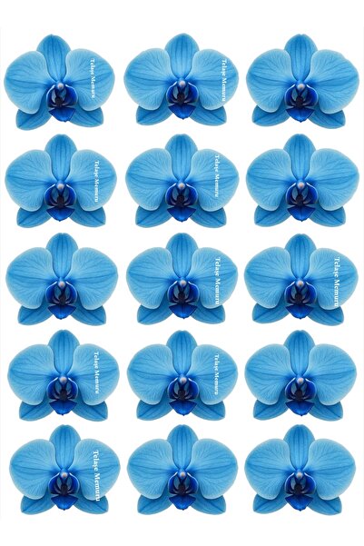 telaşe memuru Yenilebilir Çiçek Pasta Süsü - Orkide Yenilebilir Kağıt Pasta S...