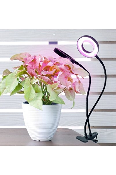 Kobi Lampă de creștere a plantelor Vitaro Ring, 8W, 2 brațe reglabile, reglabilă intensitatea luminii, temporizator, Design