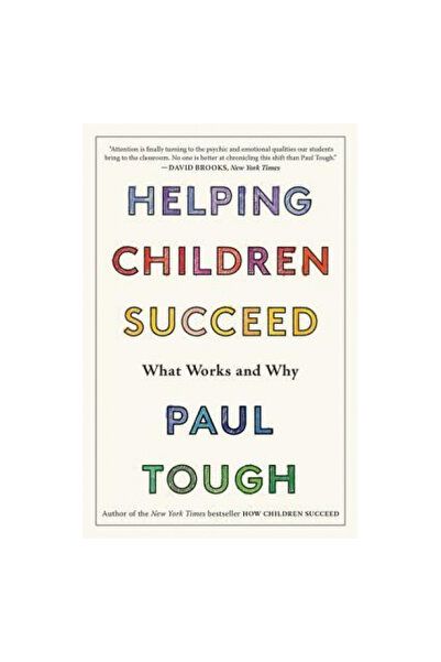 mariner books Helping Children Succeed: What Works and Why