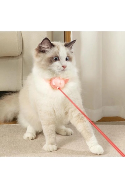FOXMAG24 Interactive Cat Collar with Laser Pointer, Auto Charging, Adjustable Size, ABS Material, Pink