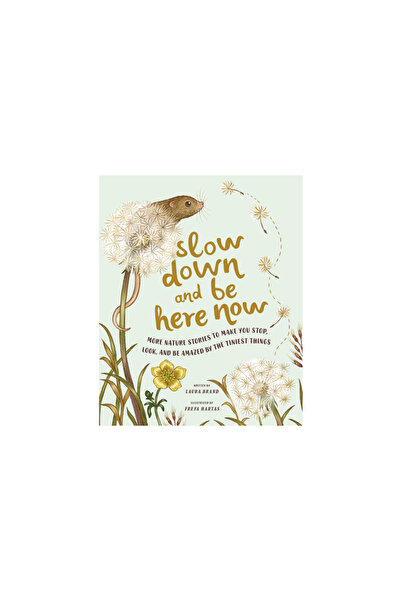 Magic Cat Slow Down and Be Here Now: More Nature Stories to Make You Stop, Lo...