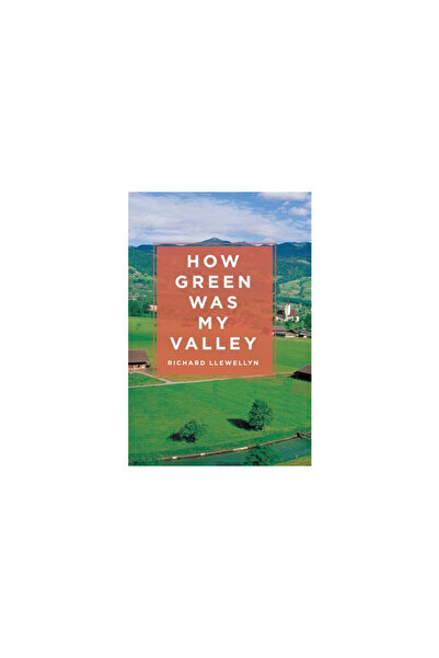 Rosettabooks Llc How Green Was My Valley
