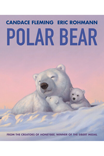 Neal Porter Books Polar Bear