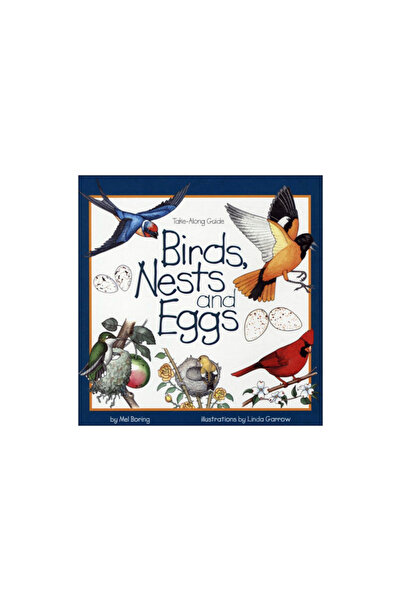 San Val Inc Birds, Nests, and Eggs