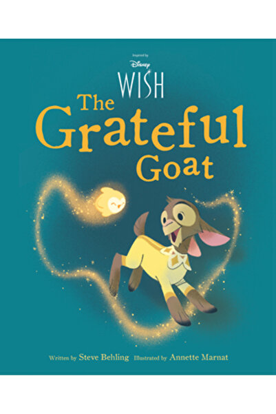 Disney Pr Wish Picture Book