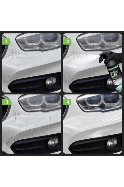 FRISCHER PROFESSIONAL Soluție de îndepărtare a insectelor Frischer Professional, pentru caroserie/geamuri/faruri/grile auto, 5000 ml