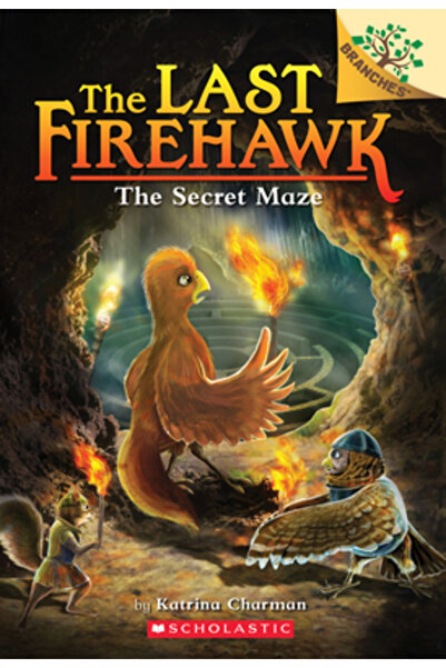 Scholastic The Secret Maze: A Branches Book (the Last Firehawk #10), Volume 10