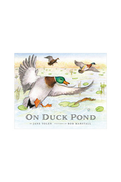 Cornell Lab Pub Group On Duck Pond