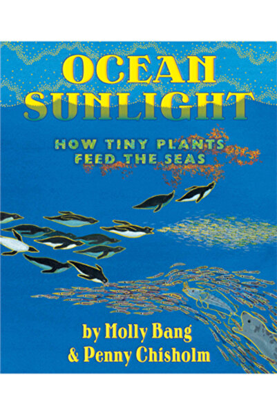 Blue Sky Pr Ocean Sunlight: How Tiny Plants Feed the Seas