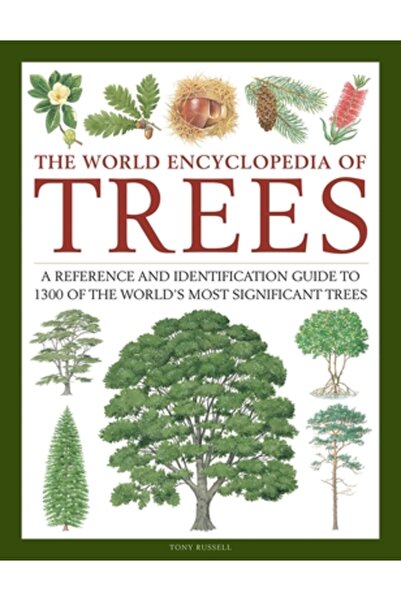 Lorenz Books The World Encyclopedia of Trees: A Reference and Identification ...