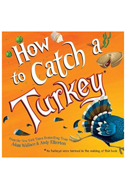 Sourcebooks Jabberwocky How to Catch a Turkey