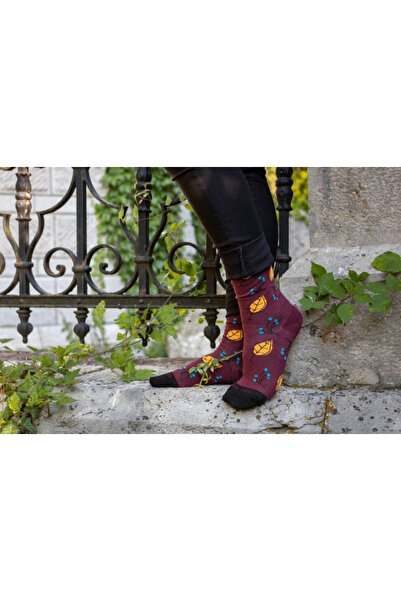 Pirin Hill Sosete bumbac COLOUR COTTON AUTUMN LEAVES Bordeaux