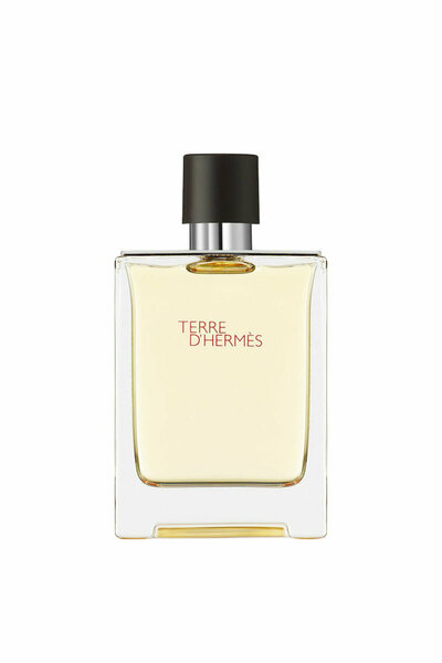Hermes Terre D' Eau de Toilette 100ml