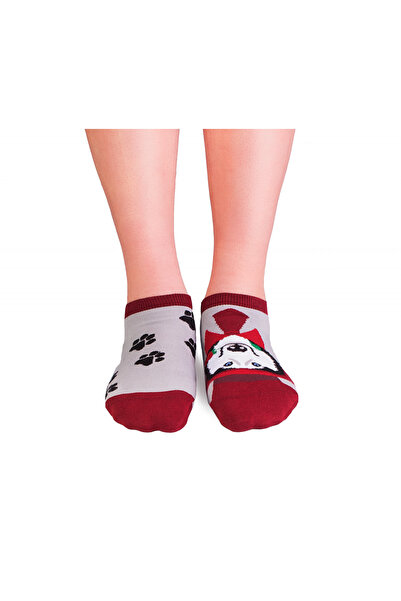 Pirin Hill Κοντές βαμβακερές κάλτσες για σκύλους Romantic Dog