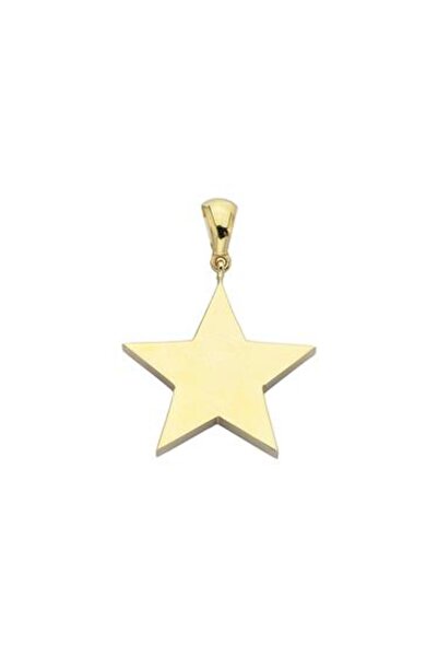 Pirnus Diamond Altın Yıldız Kolye Ucu