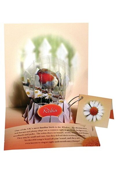 PopShots Felicitare 3D tip glob Vrabiuta