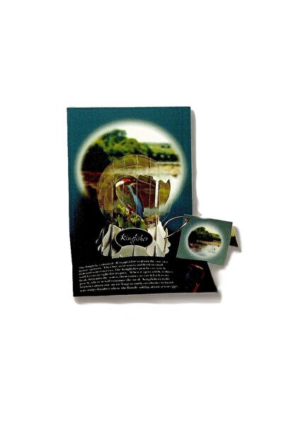 PopShots Felicitare 3D tip globPescarus