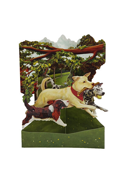 Santoro Felicitare 3D Swing Cards Caini in parc