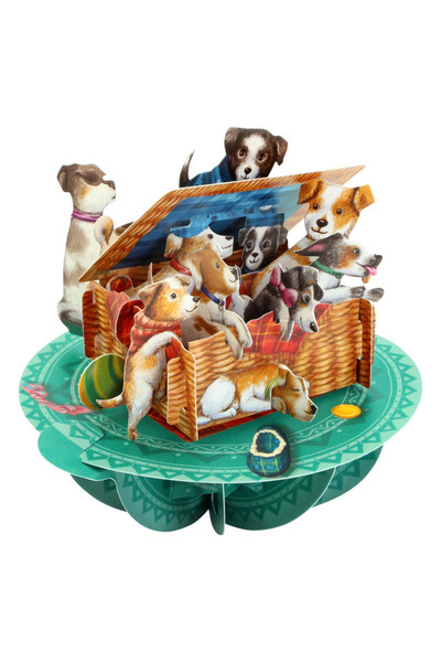 Santoro Felicitare 3D Pirouettes Catei in cosulet