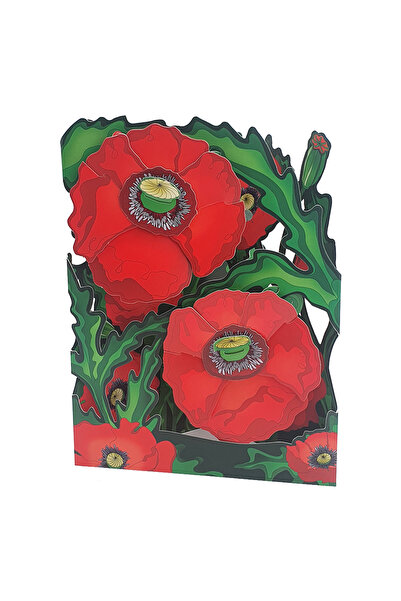 Santoro Felicitare 3D Swing Cards Maci