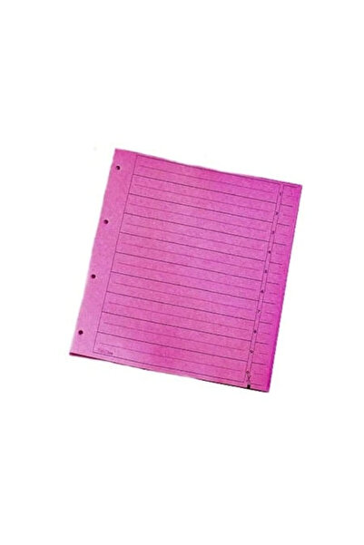 Dacris Cardboard index 10 divisions pink