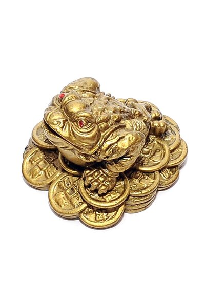 Feng Shui Broasca norocoasa pe monede mica