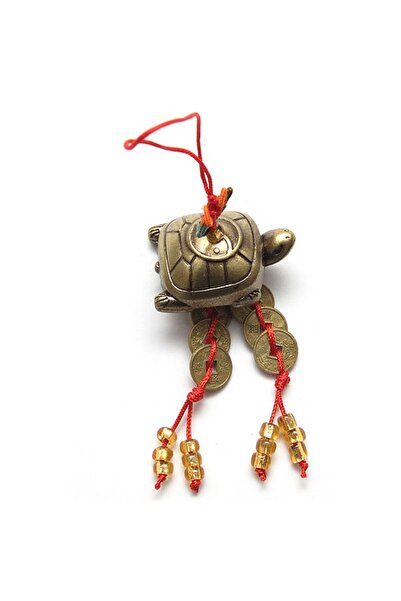 Feng Shui Canaf cu broasca testoasa si monede