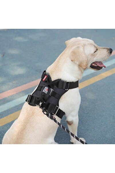 Manolex Ham pentru Caini cu Iluminare LED Marimea L (22.5-45 kg), Reglabil, Panza Oxford