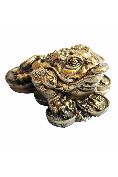 Feng Shui Broasca raioasa cu siraguri de monede