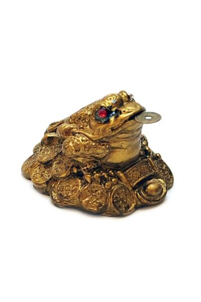 Feng Shui Broasca raioasa pe monede norocoase